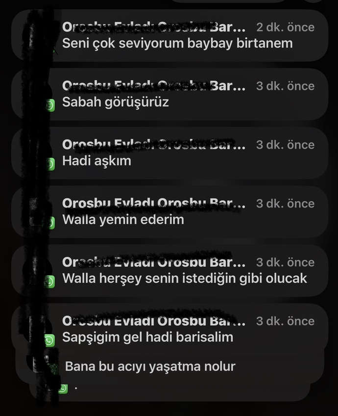 Eski sevgilim geri dönmek istiyor?