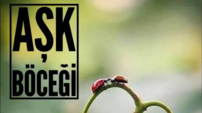 "Aşk böceğim" iltifat mı, hakaret mi?