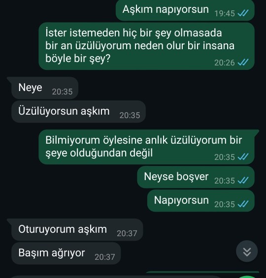 Sevgilim neden böyle yaptı sizce sizin svegiliniz böyle bir şey yapsa alınırmıydınız?