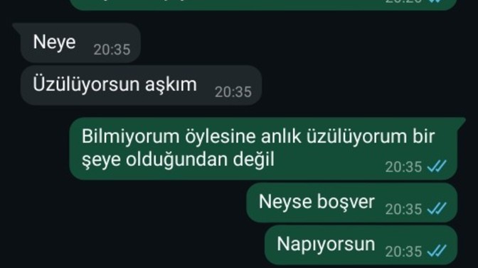Sevgilim neden böyle yaptı sizce sizin svegiliniz böyle bir şey yapsa alınırmıydınız?