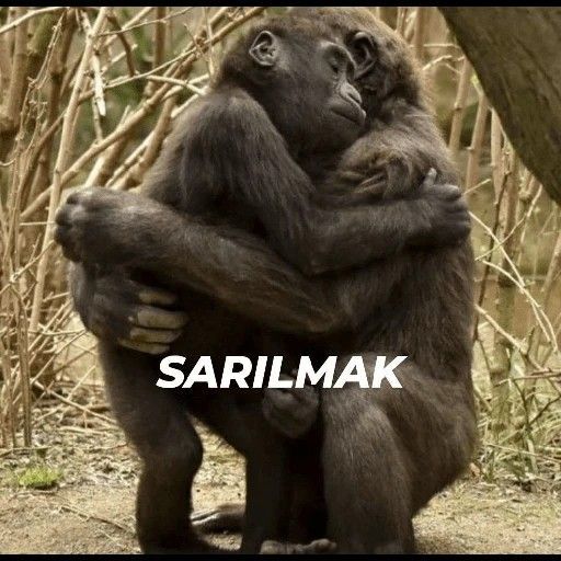 Sarılmak size iyi hissettiriyor mu?