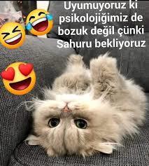 Bekle kedicissss 🥰