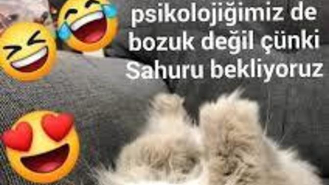 Sizin evde sahuru kim bekliyor 😀?