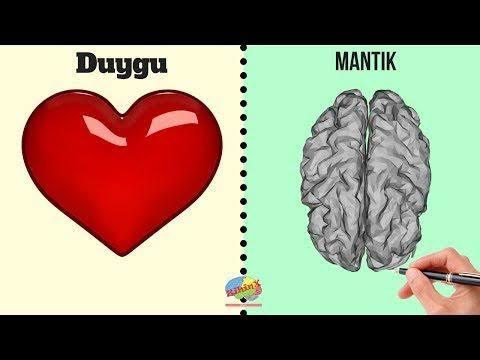 Mantığınız ve duygunuz arasında kalsanız hangisini seçerdiniz?