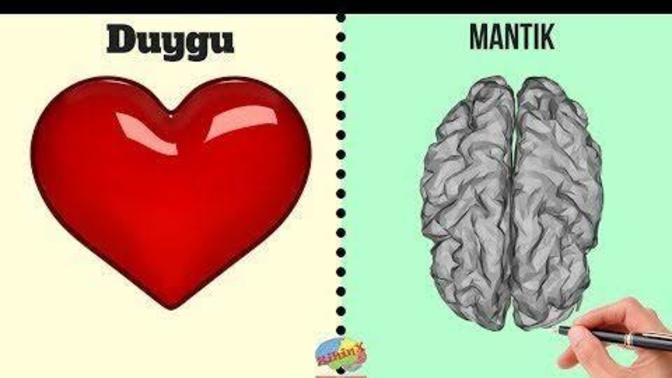 Mantığınız ve duygunuz arasında kalsanız hangisini seçerdiniz?