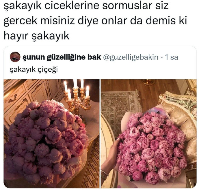 Şakayık sever misiniz?