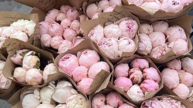 Şakayık sever misiniz?