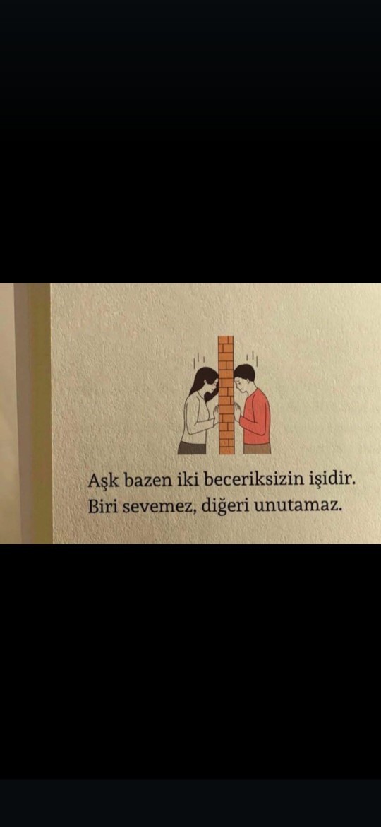 Seni sevmedim mi demek istiyor?