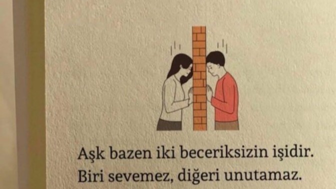 Seni sevmedim mi demek istiyor?