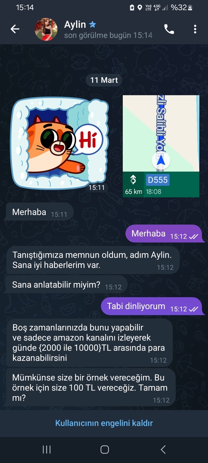 Telegram ve Whatsapp kadın dolandırıcılara napıyorsunuz?