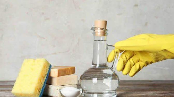 Temizlik yaparken beyaz sirke kullanır mısınız?