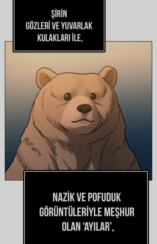 Seyehat ederken, bir ayıya denk gelseniz ne yapardınız?