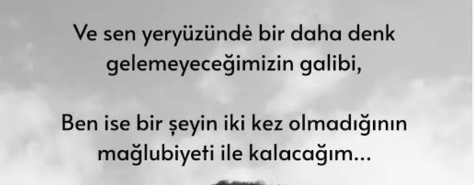 İkinci cümleyi anlamadim ne demek istemiş?