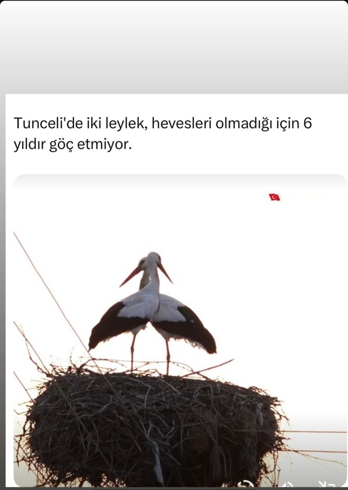 Haftanın ortalarına doğru kendimi leylek gibi hissediyorum 🤭🤭sizde durumlar nasıl? Son bi kaç gün çabuk geçsin?