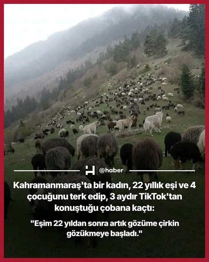 Tiktoktan çobana kaçan kadın hakkında düşünceniz nedir?