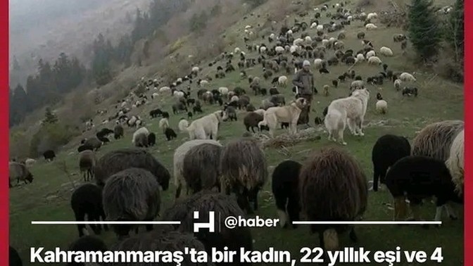 Tiktoktan çobana kaçan kadın hakkında düşünceniz nedir?