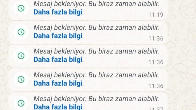 Ne oluyor bu acaba?