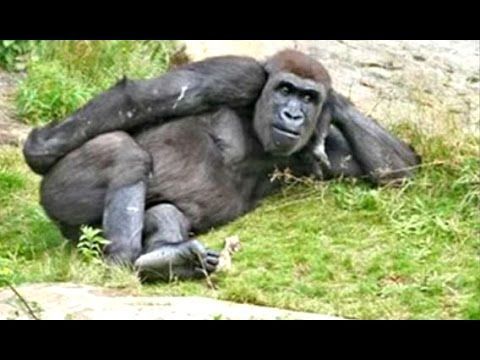 Hayatınin aşkıyla ilk defa karşılacaksın nerde karşılaşmak istemezsin?