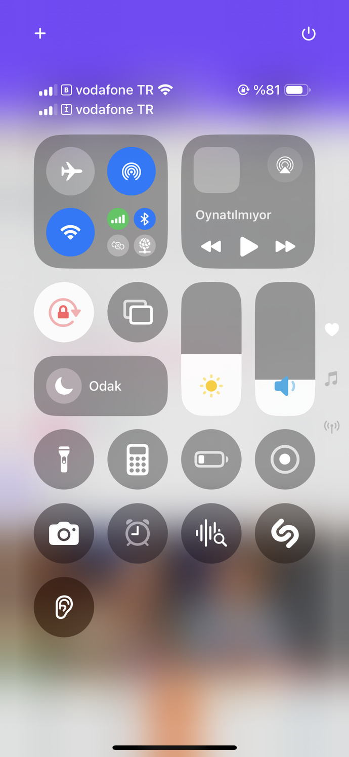 Kaç tane telefonunuz var?
