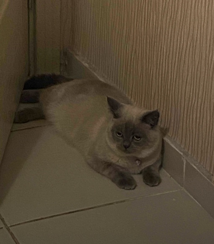 Ne güzel yatmış hiç kalkmıycak gibi vbfjhjh
