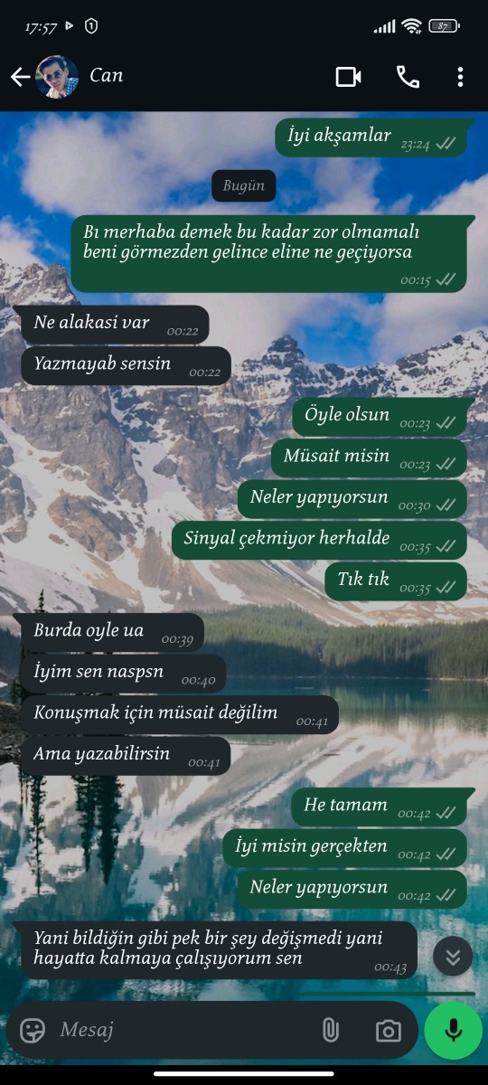 Erkekler numarasını silmedigi kızın mesaj aramalarına neden dönmez?