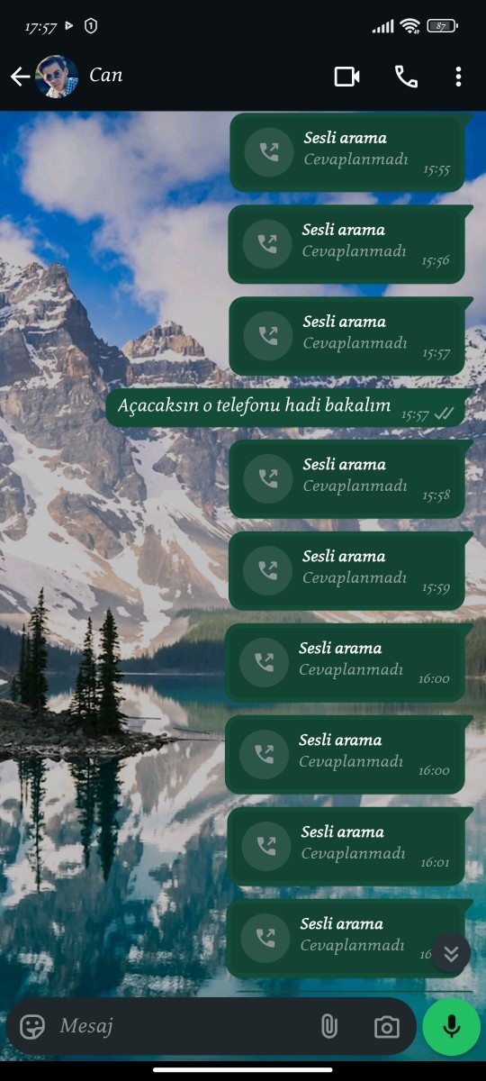 Erkekler numarasını silmedigi kızın mesaj aramalarına neden dönmez?