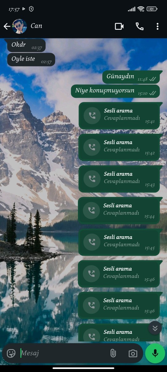 Erkekler numarasını silmedigi kızın mesaj aramalarına neden dönmez?