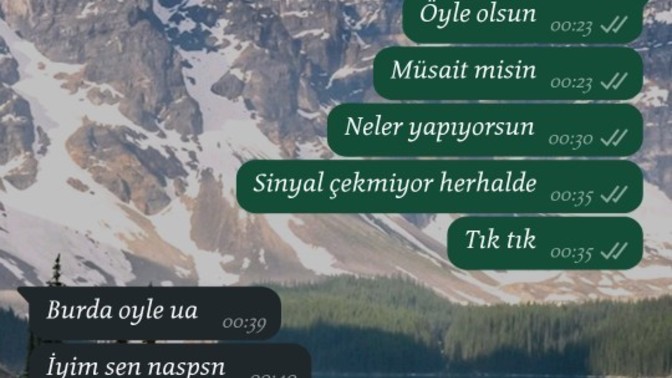 Erkekler numarasını silmedigi kızın mesaj aramalarına neden dönmez?