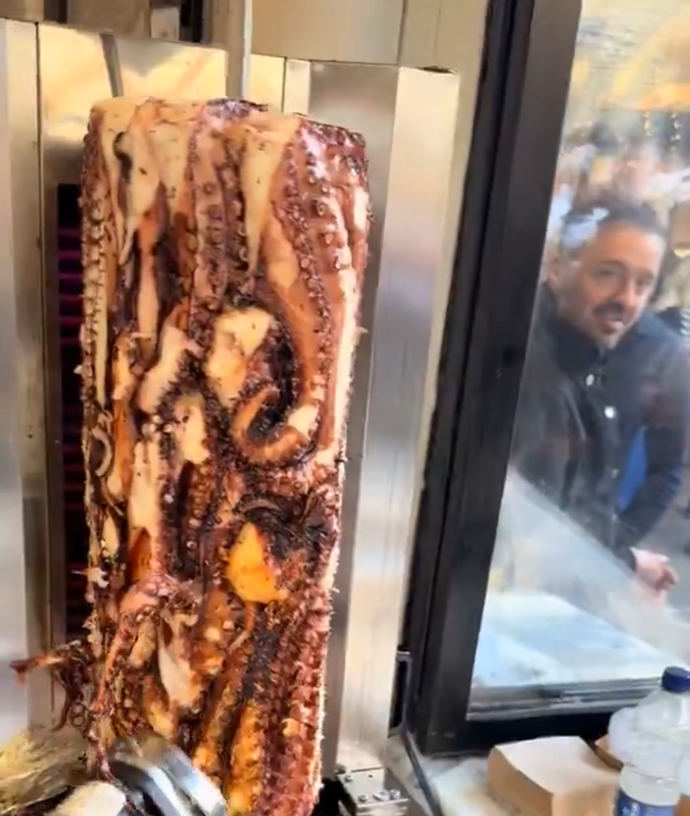 Ahtapot döner yer misin? 🐙 ?