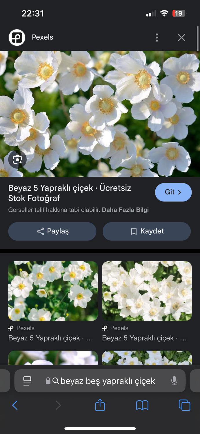 Bu çiçeğin adı nedi?