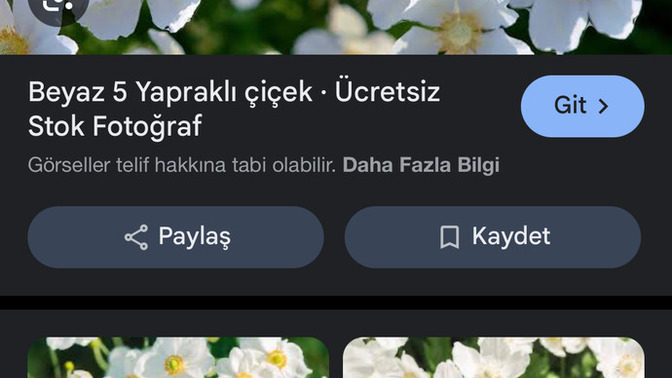 Bu çiçeğin adı nedi?