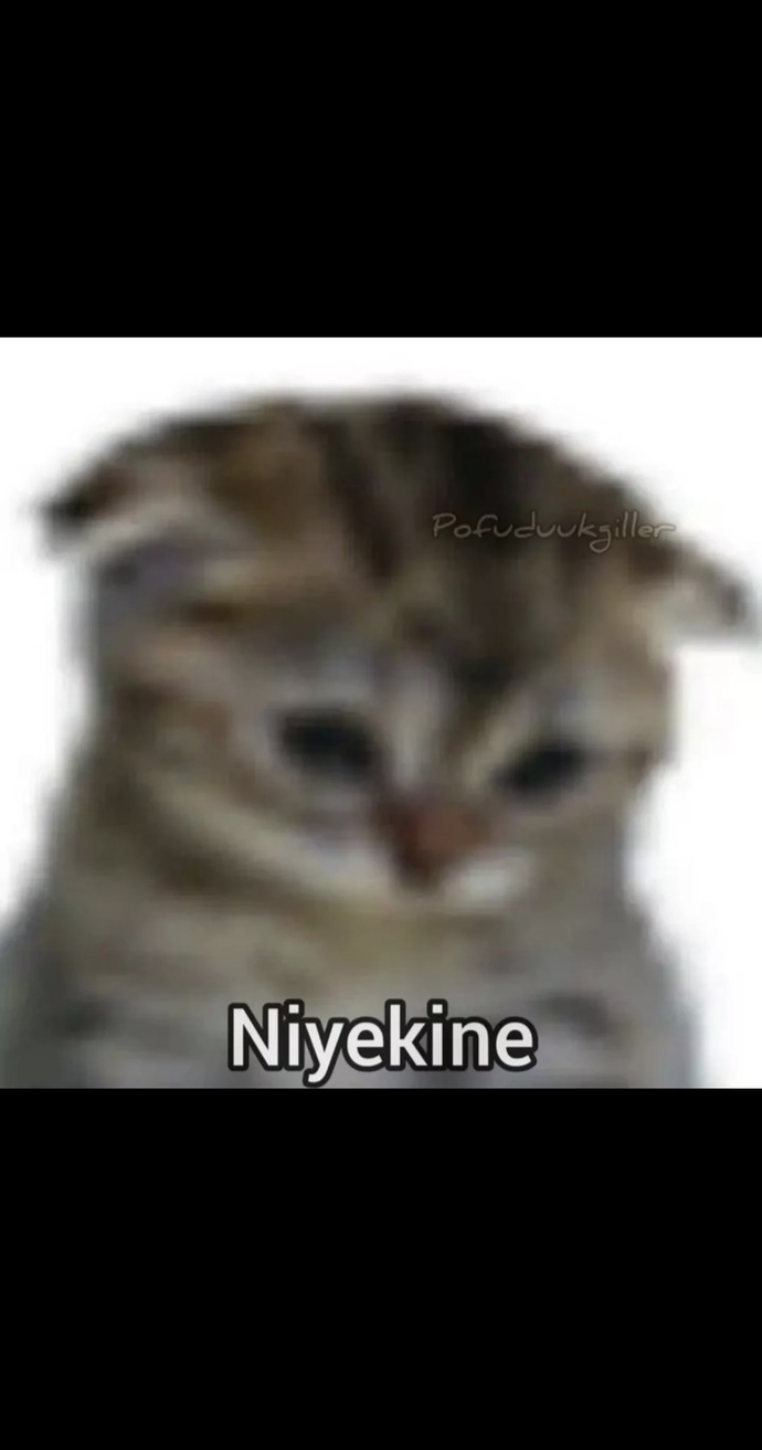 Biraz Da Siz Mi Sorsanız?