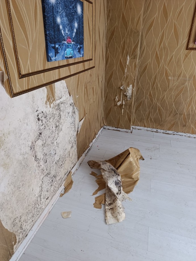 Benim kiraci evi boşalttı evin eski hali ile bıraktığı hali nasil?