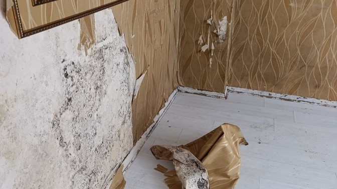 Benim kiraci evi boşalttı evin eski hali ile bıraktığı hali nasil?