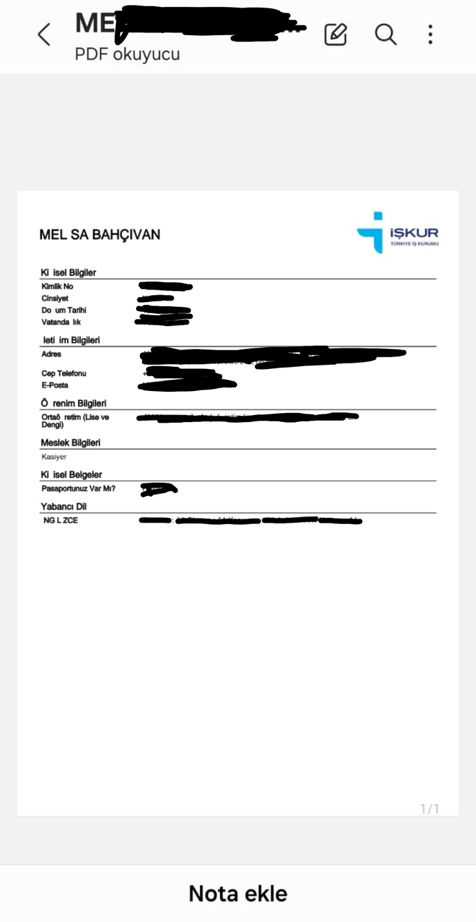 Bana bu sekilde iş kur kayit belgesi gerek li ama aynı yere bidaha giremedim şu an deniyorum