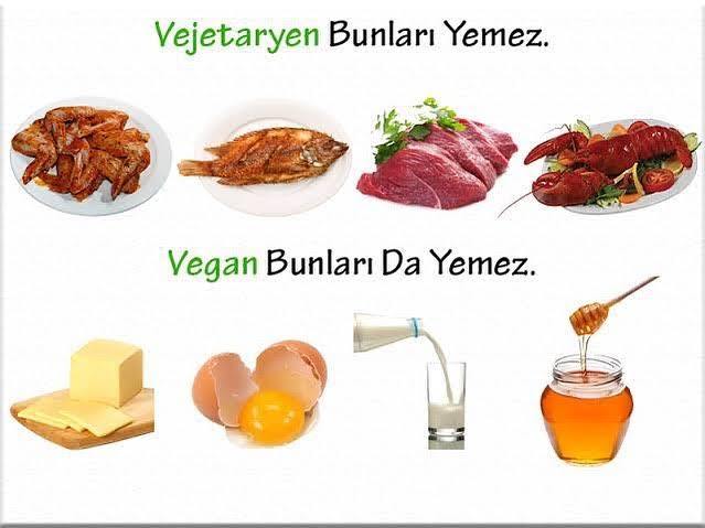 Vejeteryanlığı anlarım da veganlığı anlamıyorum?