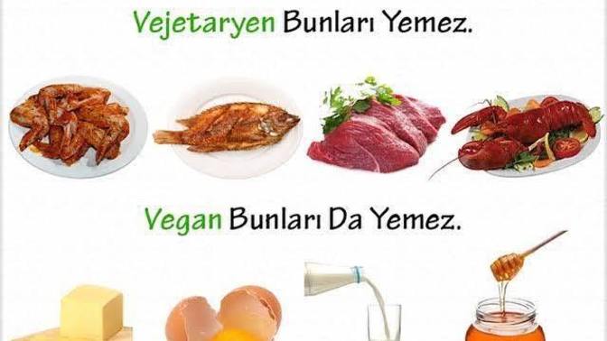 Vejeteryanlığı anlarım da veganlığı anlamıyorum?