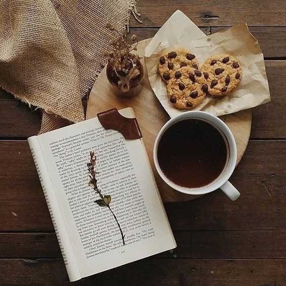Kitap okurken yanında atıştırmalık bir şey yer misin?