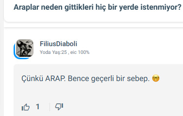 Hiç ırkçılık yaptınız mı ya da  yapmak istediniz mi?