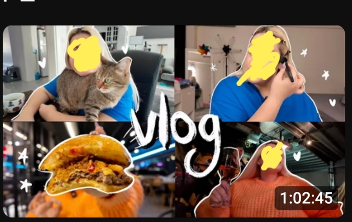 Arkadaşlar vlog düzenlerken insanlar hangi programı/ları kullanıyor bilen var mı?