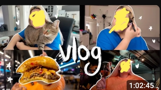 Arkadaşlar vlog düzenlerken insanlar hangi programı/ları kullanıyor bilen var mı?