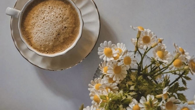 Kahve mi, Çay mı daha bağımlılık yapıcı☕️?