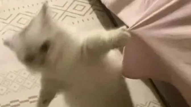 Hayatınızda bir şeyi değiştirme şansınız olsaydı bu ne olurdu?