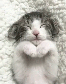 Bugün dünya uyku günü. Uyku ile aranız nasıldır? Komik veya ilginç uyuya kalma hikayeleriniz var mı?