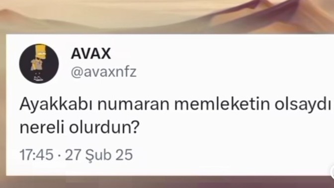 Ayakkabı numaran memleketin olsa nereli olurdun?