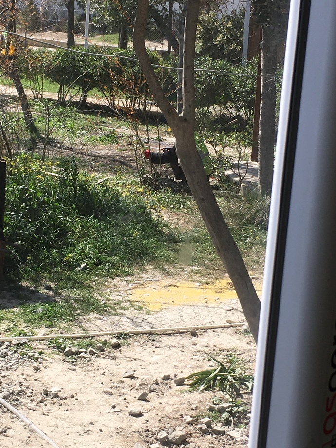Havalar ısındığında bahçe temizliği de yapar mısınız?