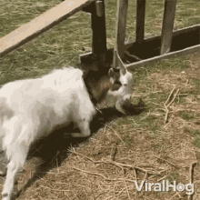 Yıllar geçse de yapmaktan vazgeçemediğiniz neler var?