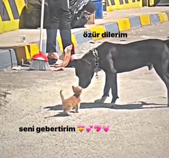 İlişkilerinizde hata yaptığınızda kendinizi nasıl affettirirsiniz?