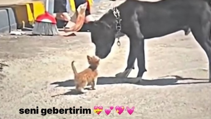 İlişkilerinizde hata yaptığınızda kendinizi nasıl affettirirsiniz?