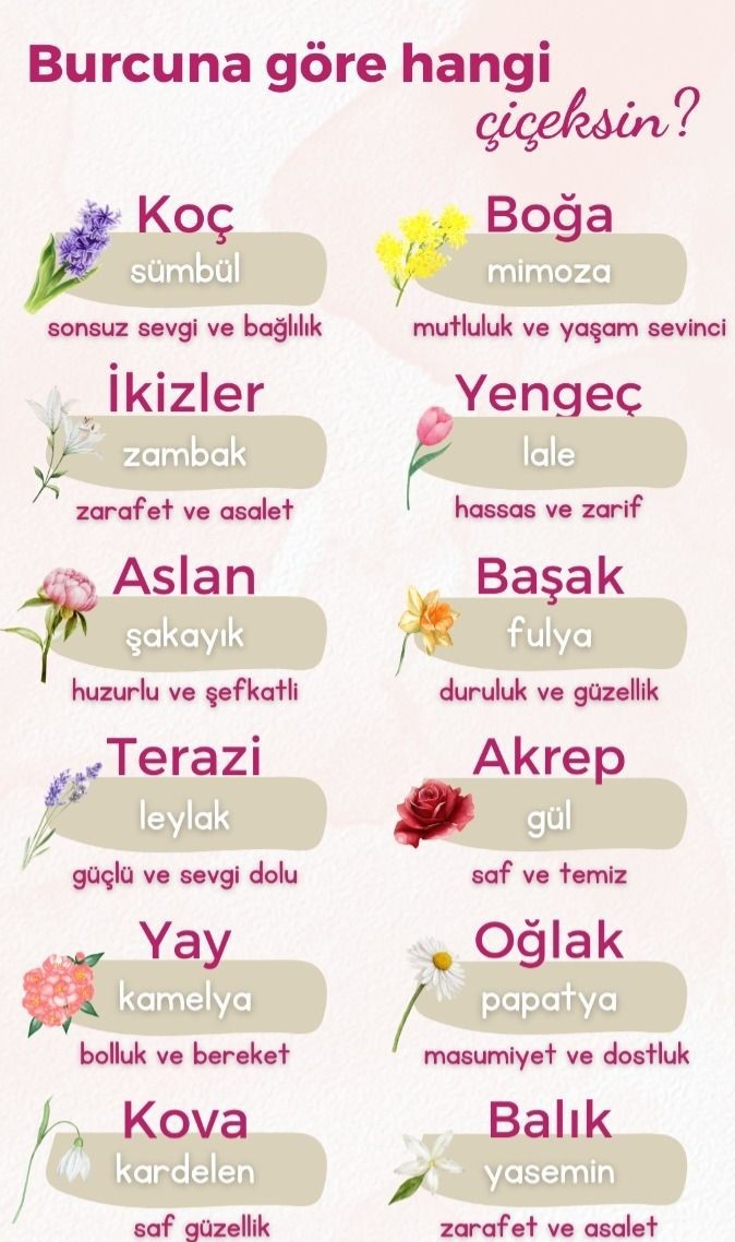 Burcuna göre hangi çiçeksiniz?